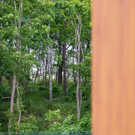 Apartment Pinea 204 - Easy-rent *