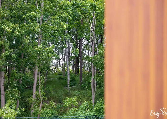 Apartman Pinea 204 - Easy-rent *